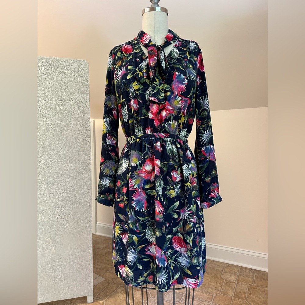 J.Crew Long sleeve dress